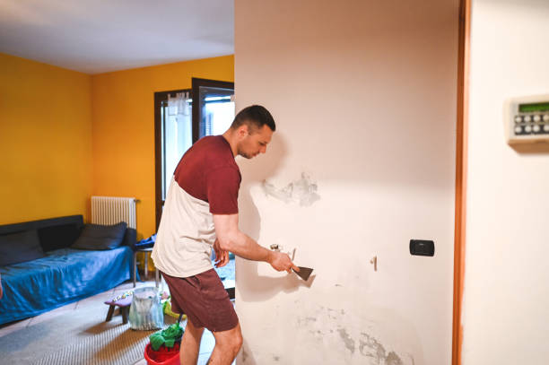 Certified Mold Removal in Bainbridge, GA