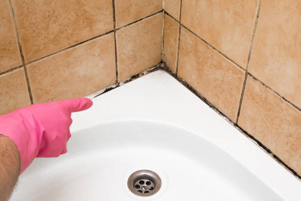 Best Mold Cleaning Services  in Bainbridge, GA